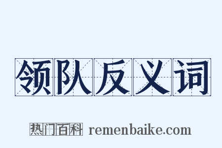 领队反义词是什么意思的图片